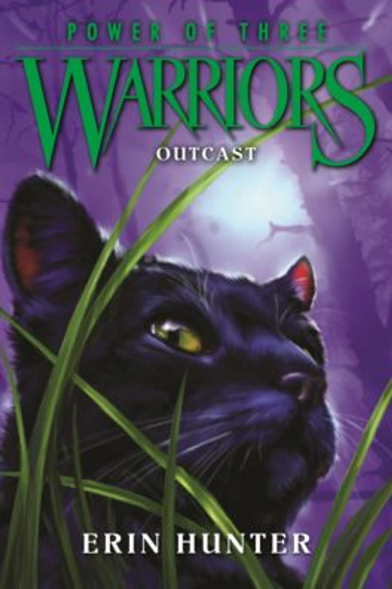 Outcast (Warriors: Power of Three Series #3)