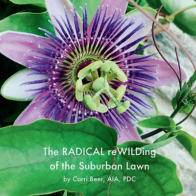 The Radical Rewilding of the Suburban Lawn