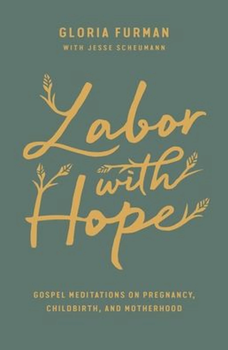 Labor with Hope: Gospel Meditations on Pregnancy, Childbirth, and Motherhood
