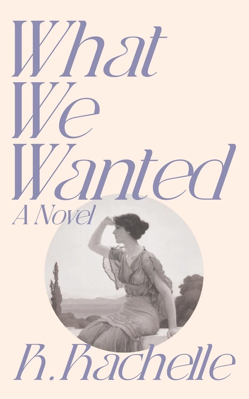 What We Wanted: A Novel