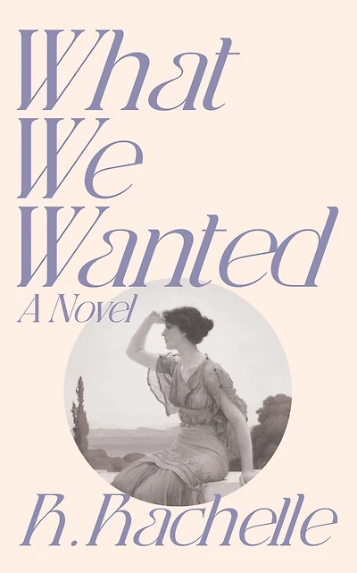 What We Wanted: A Novel
