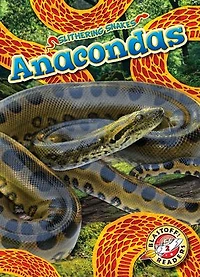 Anacondas