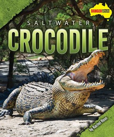 Saltwater Crocodile