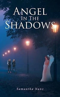Angel The Shadows