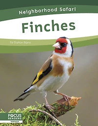 Finches