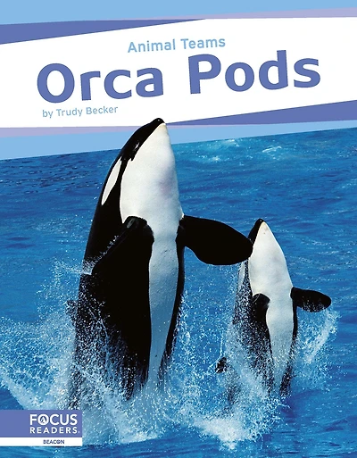 Orca Pods