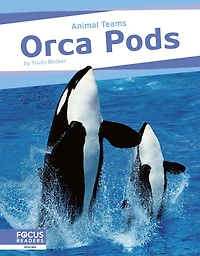 Orca Pods