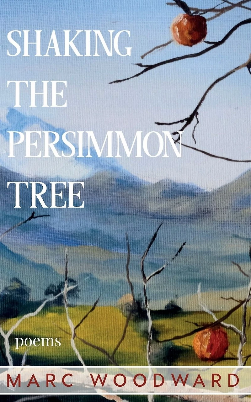 Shaking the Persimmon Tree