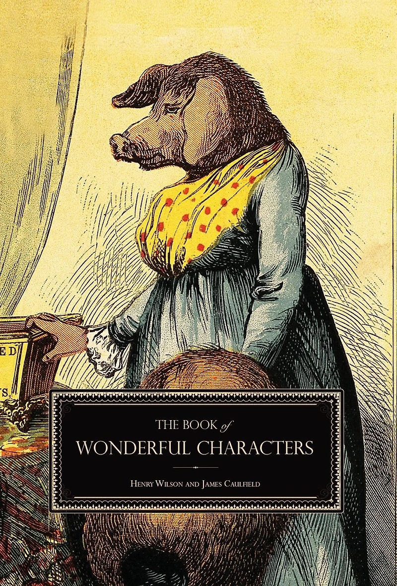 The Book of Wonderful Characters: Memoirs and Anecdotes Remarkable Eccentric Persons All Ages Countries