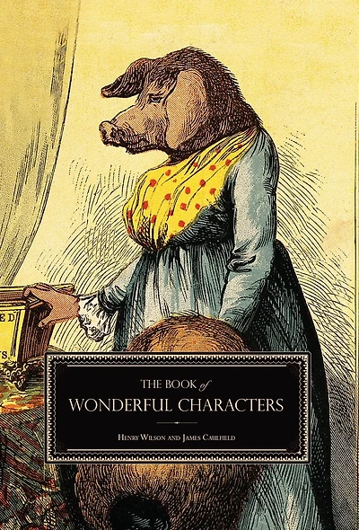 The Book of Wonderful Characters: Memoirs and Anecdotes Remarkable Eccentric Persons All Ages Countries