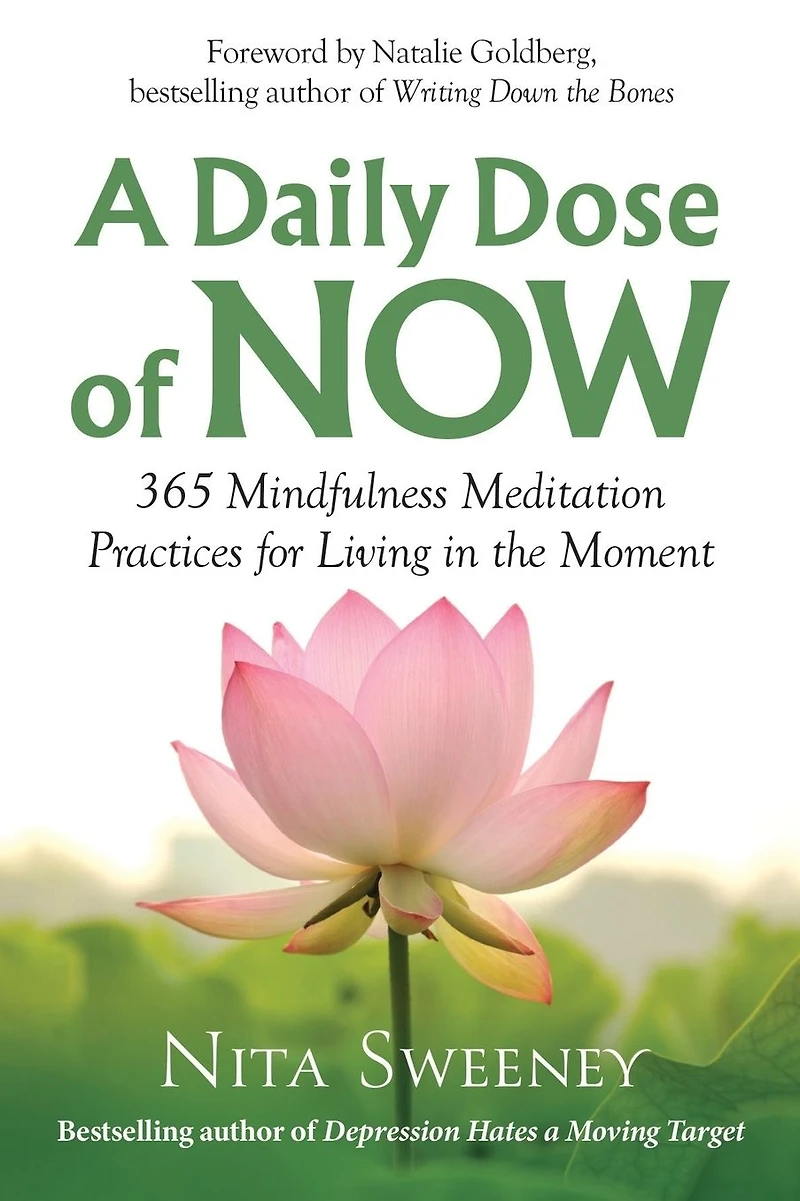 A Daily Dose of Now: 365 Mindfulness Meditation Practices for Living the Moment
