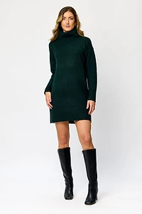 Turtleneck Sweater Dress