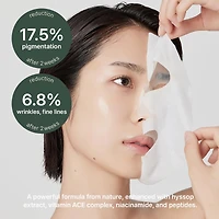 Arencia Holy Hyssop Mask Sheet (5p)