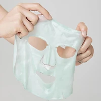 Arencia Holy Hyssop Mask Sheet (5p)