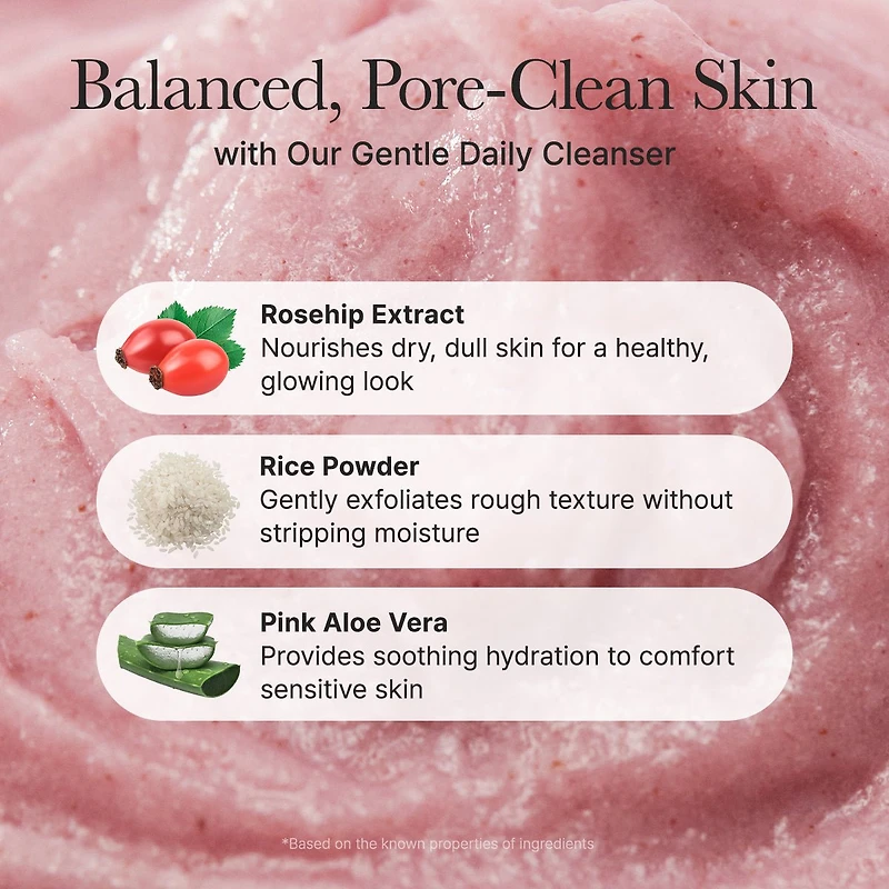 Arencia Royal Rosehip Rice Mochi Cleanser 120g