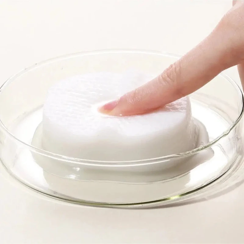 ARIUL The Perfect Cleansing Oil Pads EX 60pcs