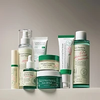 AXIS-Y Mugwort Pore Clarifying Wash Off Pack 100ml