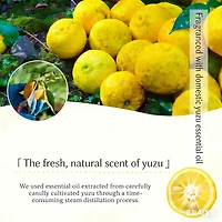 BIKEN Daily Aroma Japan Yuzu Lip Cream 7g