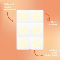 Bioré Day or Night Blemish Patches 30pcs