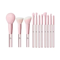 BLJ Semi Sugar Peach Make Up Brush Gift Box 11pcs