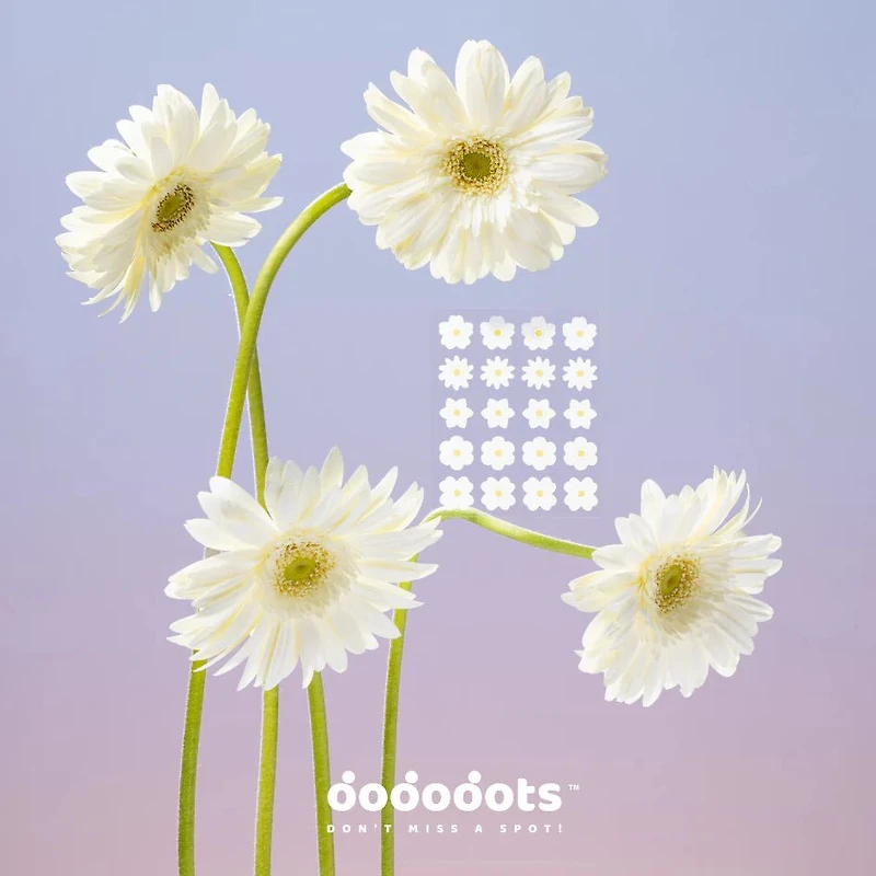 DODODOTS Beauty Patch Pure Petals 20p