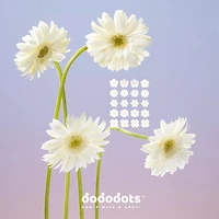 DODODOTS  Beauty Patch Pure Petals 20p