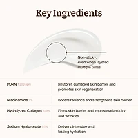 Dr.Reju-All Advanced PDRN Rejuvenating Cream 20ml