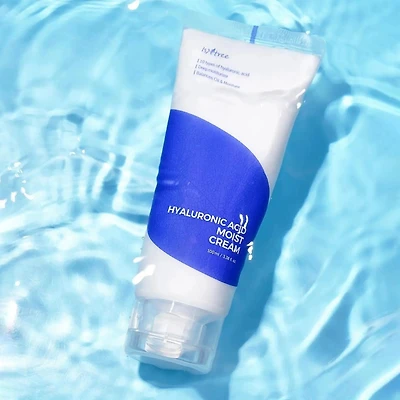 Isntree Hyaluronic Acid Moist Cream 100ml