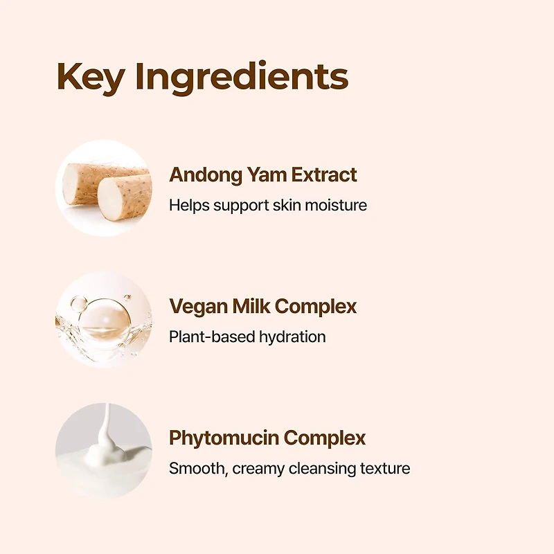 Isntree Yam Root Vegan pH-Balancing Cleanser 120ml