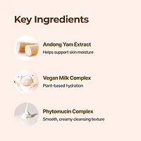 Isntree Yam Root Vegan pH-Balancing Cleanser 120ml