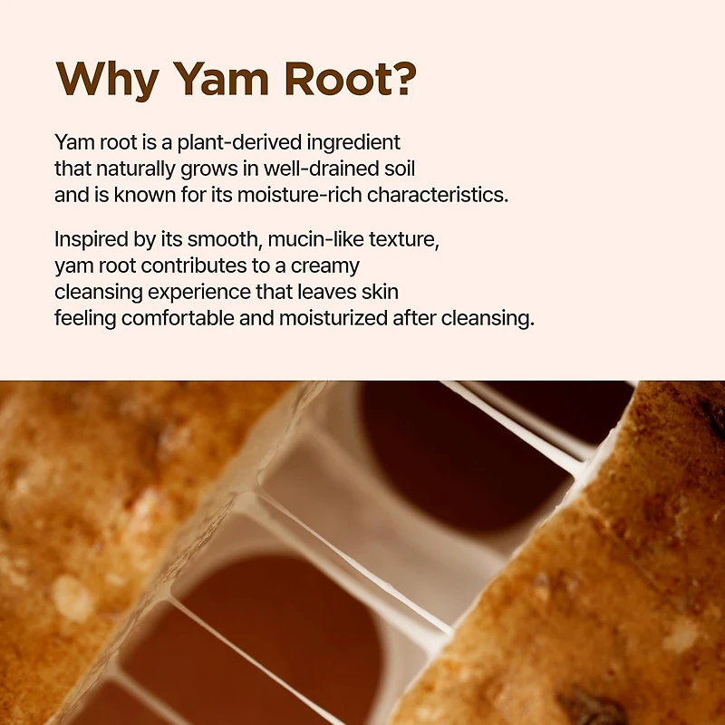 Isntree Yam Root Vegan pH-Balancing Cleanser 120ml