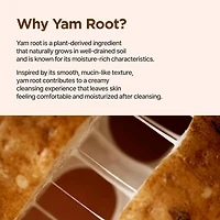 Isntree Yam Root Vegan pH-Balancing Cleanser 120ml