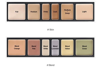 JUNGSAEMMOOL Artist Concealer Palette 6.6g (2 Shades)