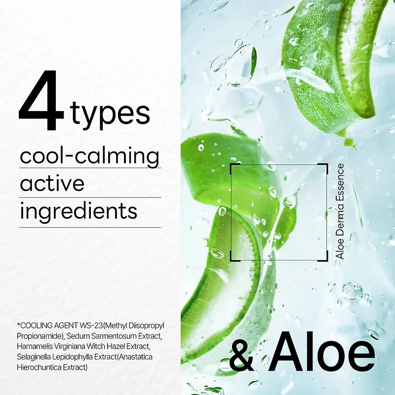 MEDIHEAL Dermaplus Aloe Mask 10pcs