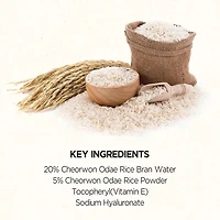Skinfood Rice Mask 120g