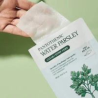 SKINFOOD Pantothenic Water Parsley Mask 1pc