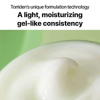 Torriden Balanceful Cream 80ml