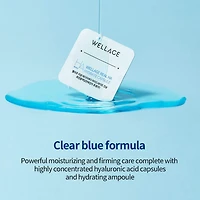 WELLAGE Real Hyaluronic One Day Kit (7 sets)