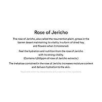 Abib Collagen Eye Patch Jericho Rose Jelly 60pcs