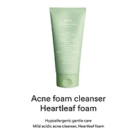 Abib Foam Cleanser Heartleaf (2 Sizes)