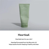 Abib Foam Cleanser Heartleaf (2 Sizes)