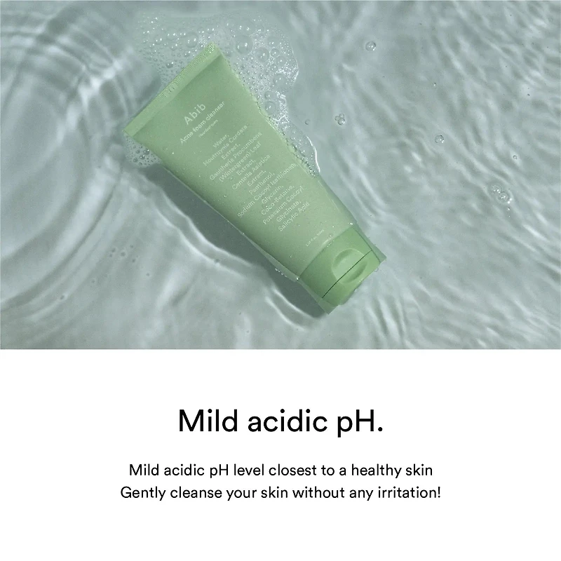 Abib Foam Cleanser Heartleaf (2 Sizes)