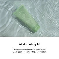 Abib Foam Cleanser Heartleaf (2 Sizes)