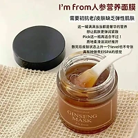 Im From Ginseng Mask 120g