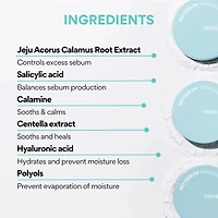 Innisfree No Sebum Mineral Powder
