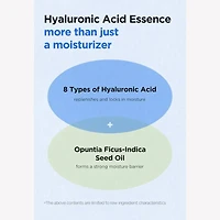 Isntree Hyaluronic Acid Water Essence 50ml