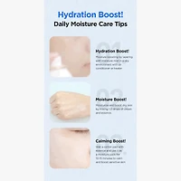 Isntree Hyaluronic Acid Water Essence 50ml