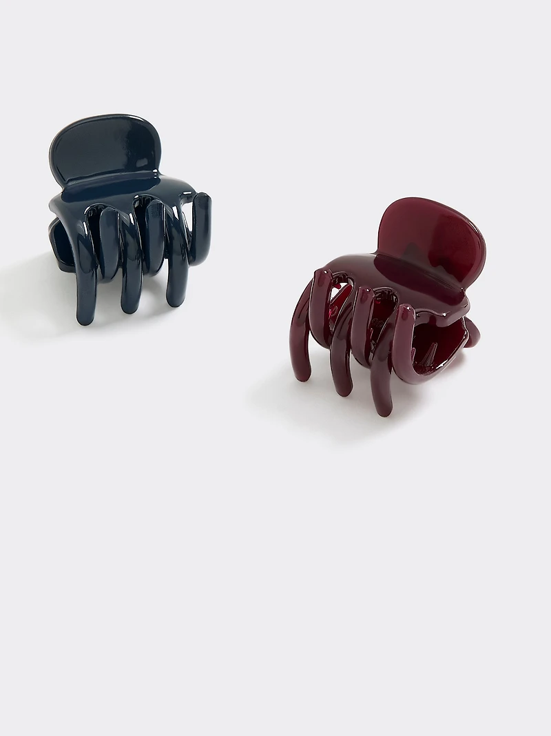 Small Hair Clips - Set of 2
