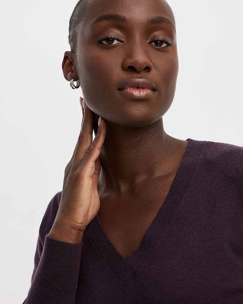 Long-Sleeve V-Neck Pullover - R Essentials