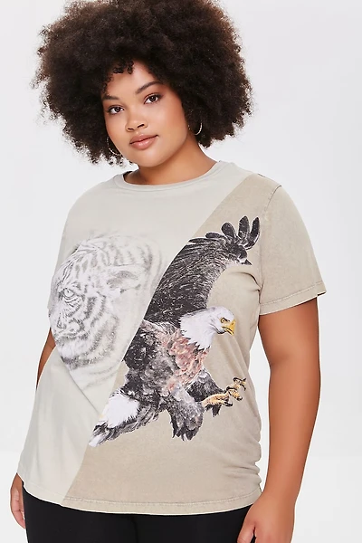 Plus Size Colorblock Eagle Graphic Tee
